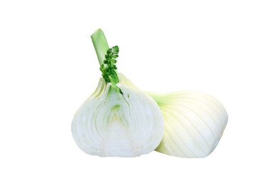 close up of fennel white and green vegetable for healthy, isolated on white background with copy space.