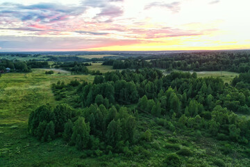 summer forest top view drone, background green trees panorama landscape