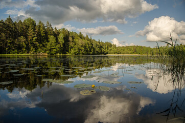 Fototapeta premium Beautiful evening view with lake, reflections in the water and clouds.