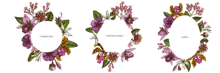 Floral frames with colored laelia, feijoa flowers, glory bush, papilio torquatus, cinchona, cattleya aclandiae - obrazy, fototapety, plakaty