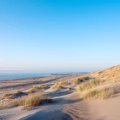 Poster de jardin Mer du Nord, Pays-Bas dunes de sable et plage déserte sur la côte néerlandaise de la mer du nord dans la province de zélande