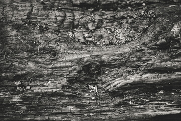 Burnt wood surface on fire. Dark background for design