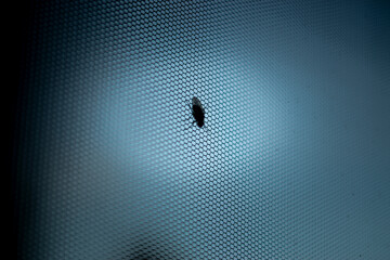 Fly screens for windows and doors