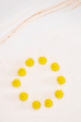 Fond rose avec un rond en pompons de mimosa - Composition design avec espace vide