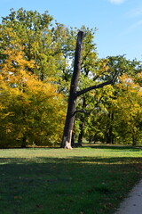 Herbst im Park Neuer Garten, Potsdam, Brandenburg