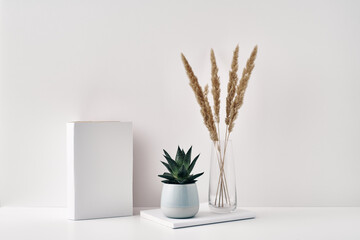 Transparent vase, houseplant and book on a white background. Minimalism, eco-materials in the interior decor. Copy space, mock up.