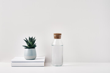 A transparent bottle with a cork stopper and houseplant on a white background. Natural and eco-friendly materials in interior decor. Copy space, mock up
