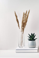 A transparent vase with dried flowers and a houseplant on a white background ,. Eco-friendly materials in interior decor. Copy space, mock up.