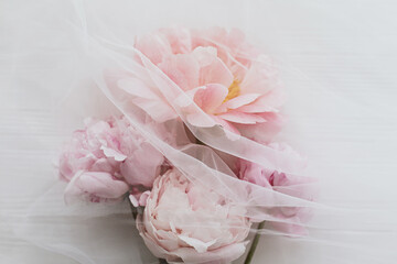 Lovely peony flowers under soft tulle fabric on white wood, top view. Beautiful spring aesthetics