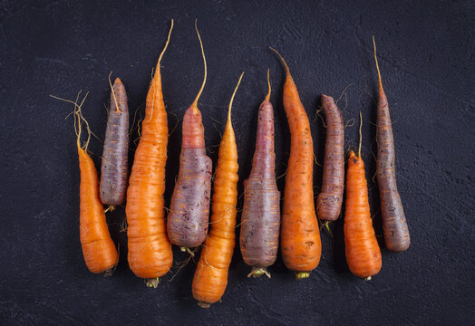 Fresh orange and purple carrots on dark plastered background, top view