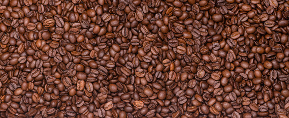 coffee beans as panorama, border or banner