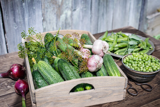 Fresh cucumbers and other vegetables in wooden box outdoor