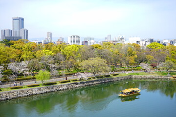 City landscape of Osaka, Japan with Osaka castle moat and Cherry blossoms - 大阪の都市景観 大阪城のお濠と桜