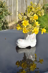 Bouquet of yellow flowers in a boot 