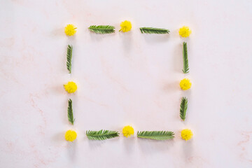 Fond rose avec des pompons de mimosa - Composition design colorée avec espace vide