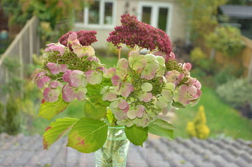 Pink and green flowers