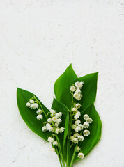 Bunch of Lily of the Valley on white wooden board, vertical