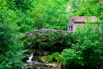 Puente medieval en Asturias
