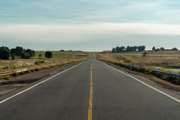 Asphalt road across fields in Argentina.
