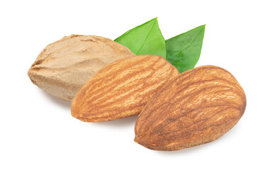 almond nuts isolated on white