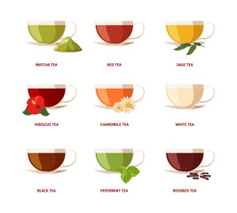 Type of tea. Beverage drinking natural products with green leaves lemon rooibos liquids in glass cups black tea garish vector flat illustrations set