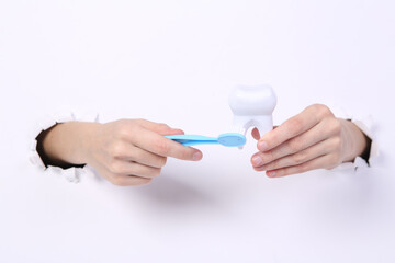 Female hands holding tooth model and toothbrsh through torn hole white paper. Oral cavity care. Concept art. Minimalism