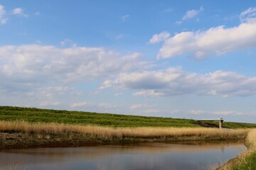 春の河川敷　風景　渡良瀬