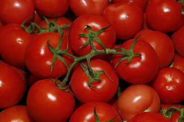 Ripe tomatoes at the market