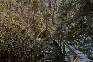  Kehlengrabenschlucht in Hofstetten in der N&auml;he von Basel