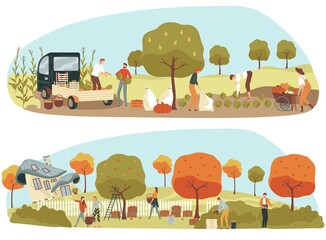 Harvest vegetable, natural plant, farming work, gardening season, gardener autumn, design, cartoon style vector illustration.
