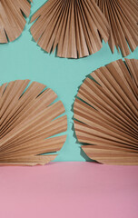 Creative minimalistic background. Dry palm leaves on blue pink pastel background