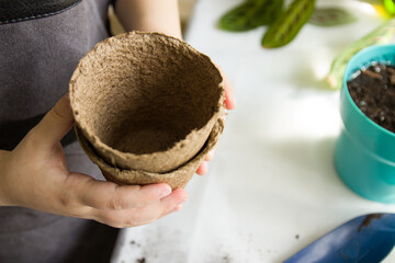 children's hands hold peat pots for planting plants