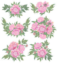 Design set with floral arrangements and bouquets of beautiful peony flowers isolated on white.