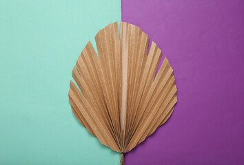 Decor dry palm leaf on purple blue  background.