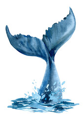 Whale tail in the ocean, splashing water, whale on isolated white background, watercolor illustration © Hanna