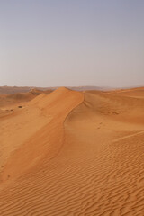 Fototapeta na wymiar Sand dune ridge in desert of Oman