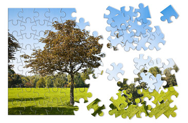 Isolated tree in a green meadow - environmental conservation concept image in jigsaw puzzle shape