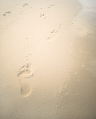 footprints on wet sand along the water