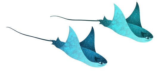 Manta ray fishes, marine animals, sea creatures vector illustration. - obrazy, fototapety, plakaty
