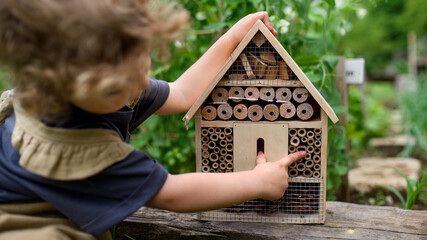 Rear view of small girl playing with bug and insect hotel in garden, sustainable lifestyle.