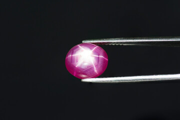 Natural Red 6 rays star ruby cabochon gemstone in tweezers. Heated, lead glass filled gem....
