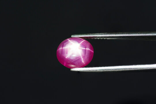 Natural Red 6 rays star ruby cabochon gemstone in tweezers. Heated, lead glass filled gem. Corundum, Al2O2. Earth mined stone. Black background. Close-up, sharp details. 