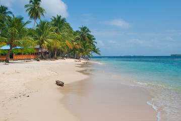 Palm trees on a tropical beach with crystal clear water to relax