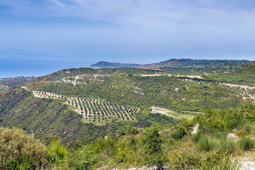 Fototapeta na wymiar Llandscape on the Kassandra peninsula, Chalkidiki, Greece