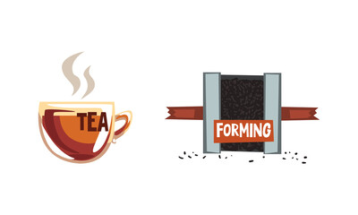 Tea Production Set, Leaves Forming and Cup of Hot Drin Vector Illustration