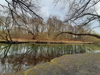 spring forest spot with river nearby