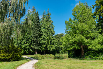 Landscape garden and L&uuml;tetsburg Castle Park in L&uuml;tetsburg