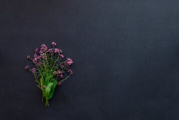 Pink Forget-me-not flowers bouquet against a black background