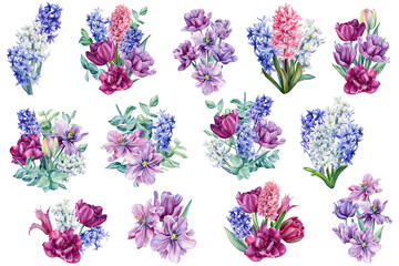 Set of bouquets of flowers. Tulips, hyacinths, eucalyptus leaves painted in watercolor on a white background