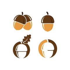 oak acorn vector illustration design